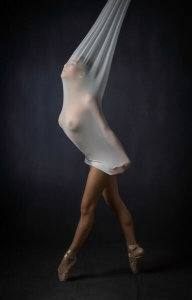 Catchlight Studio - Sheer Stretch