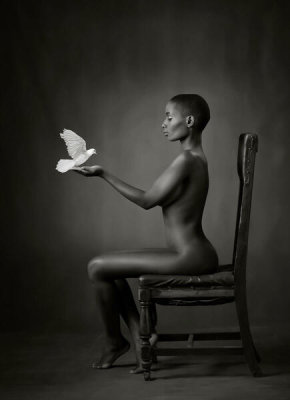 Catchlight Studio - Ebony Dove